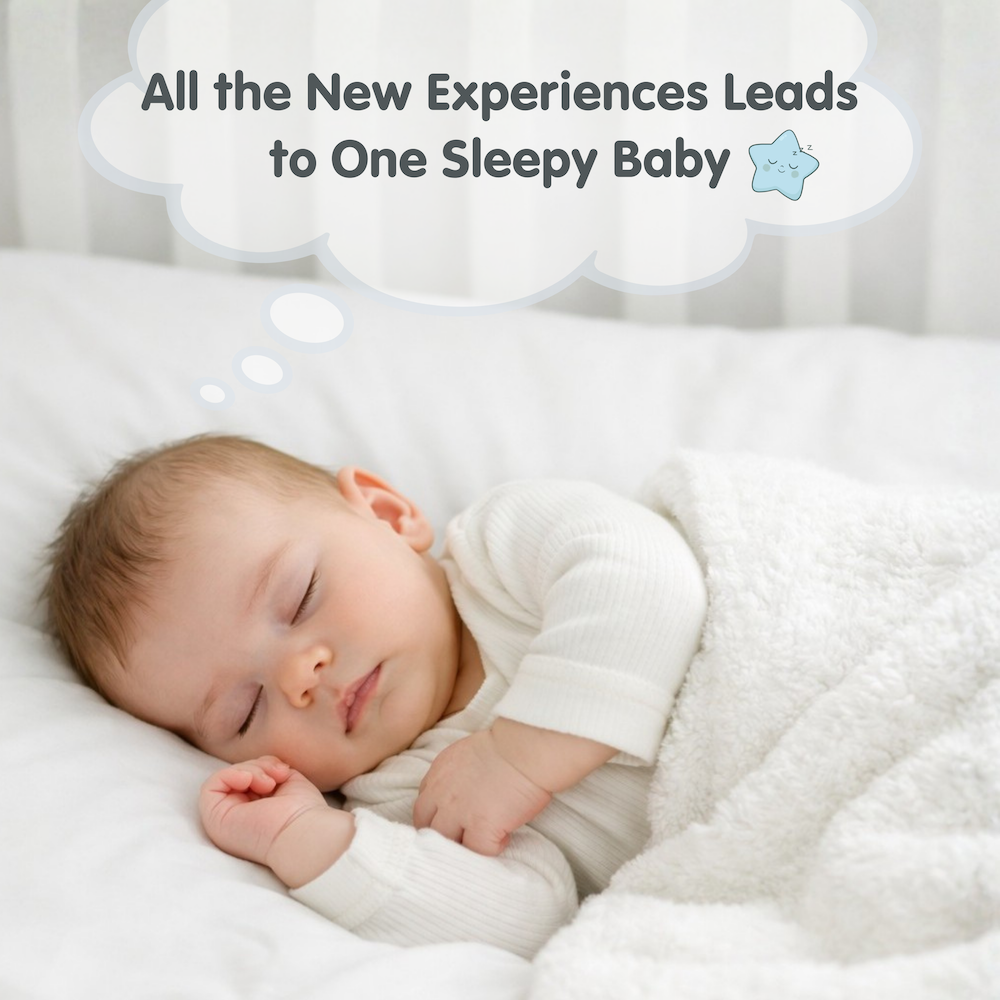 Otteroo MINI (40% OFF | Final Sale)